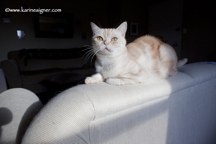 RustyCouch2