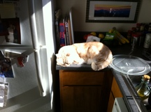 Rusty Counter